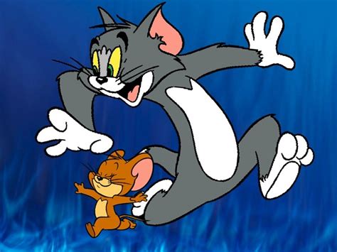 videos de tom y jerry